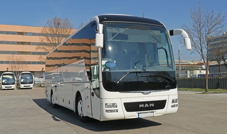 Baden-Württemberg: Buses operator in Horb am Neckar in Horb am Neckar and Germany